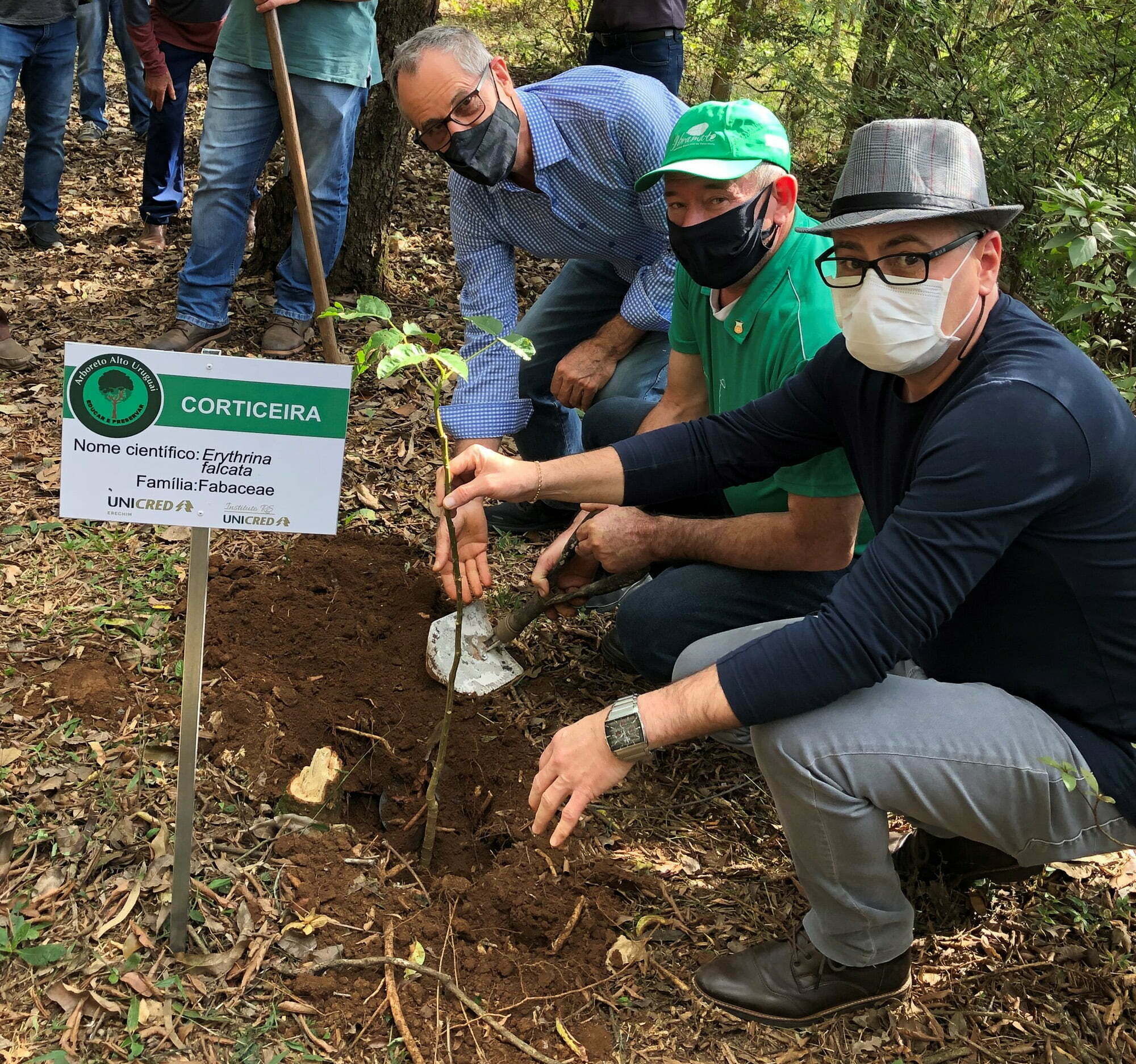 Instituto Unicred Rs E Unicred Erechim Revitalizam Arboreto Expansão