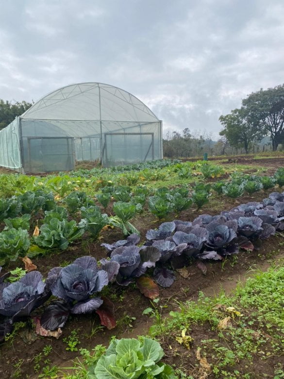 Connect Horta Escola Agricola