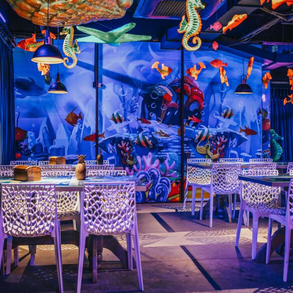 CM – 2º andar – feed 5