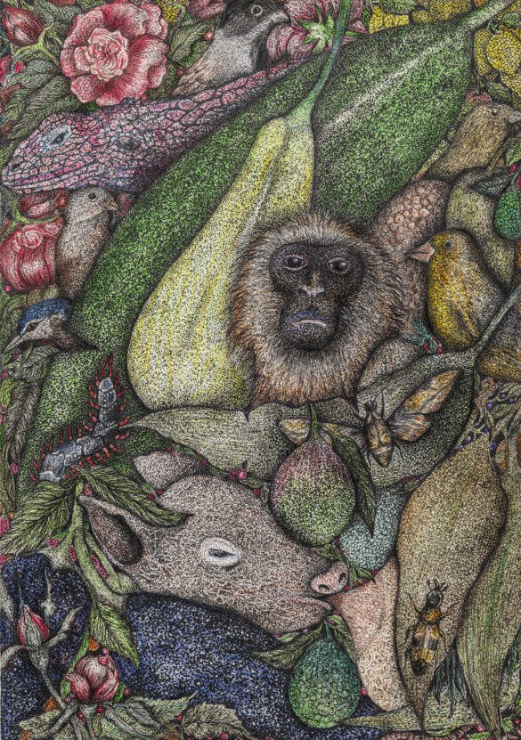 240402_183046_VivaFoto