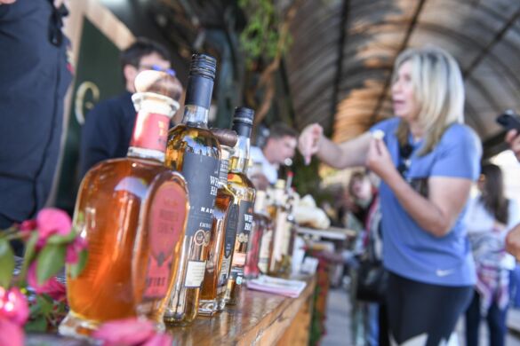 Connection_23 – Rafael Cavalli (5)