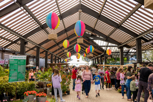 festival da primavera (1)