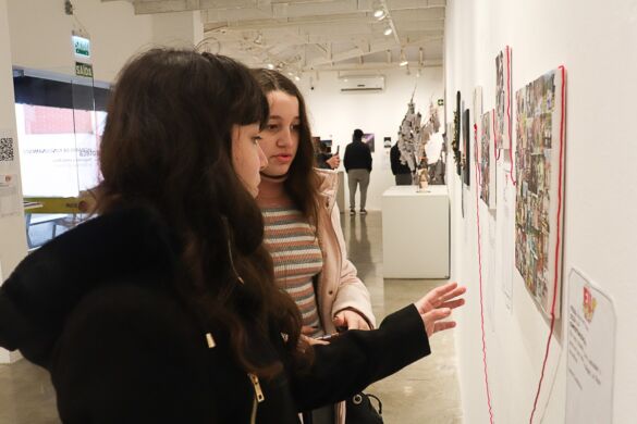 WhatsApp Image 2024-11-08 at 11.11.25