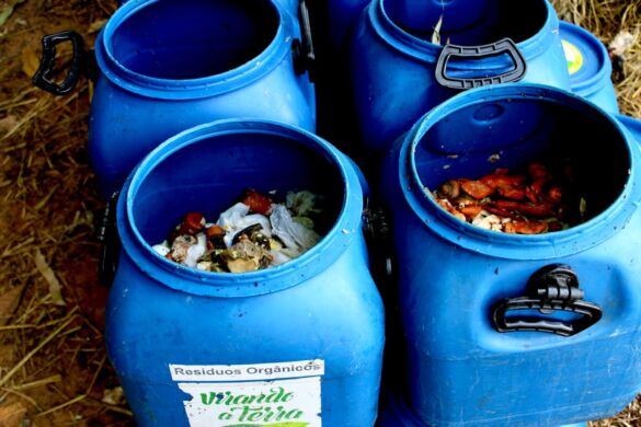 WhatsApp Image 2025-02-06 at 09.24.27 (2)