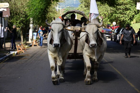 54432531506_c4e716de85_c