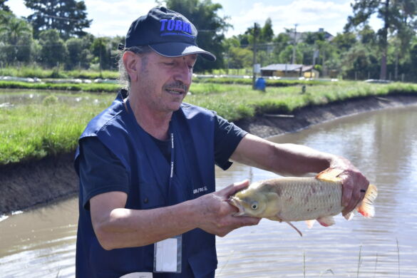 54451478157_ed82760ffc_h