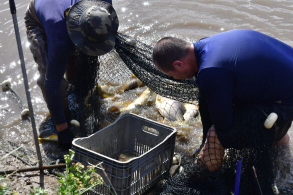 54452693725_f41e84cedc_h